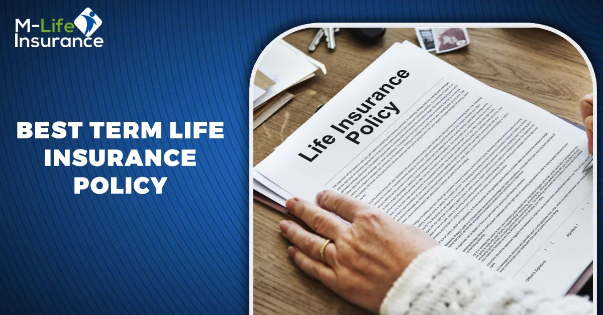 TERM LIFE INSURANCE policy Understanding the Basics