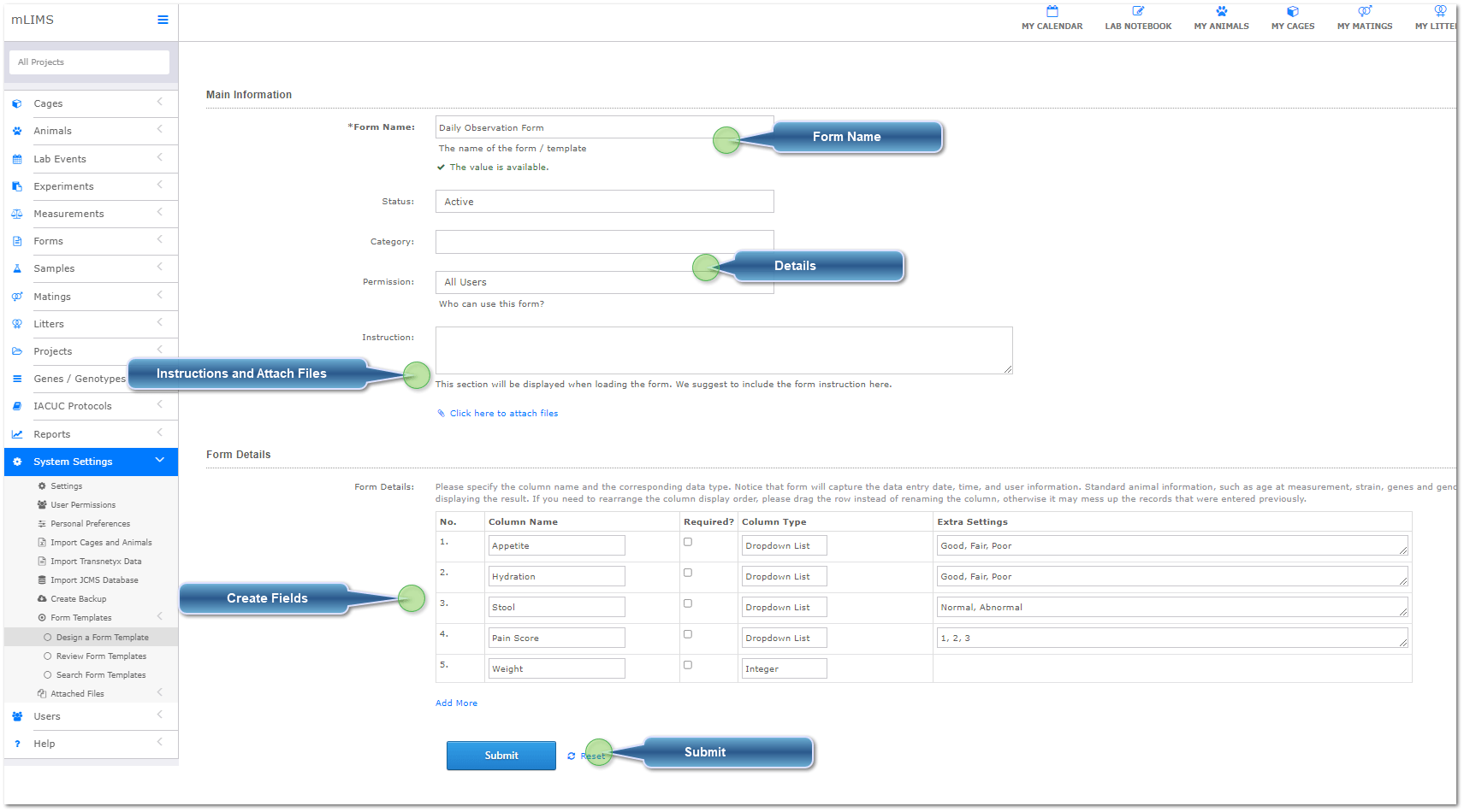 Create Form Templates