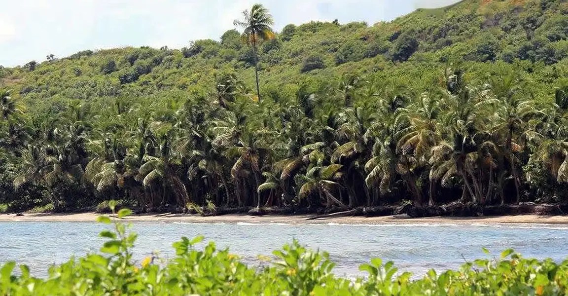 70 Acres of Beachfront Land for Sale, St Andrew, Grenada 7th Heaven