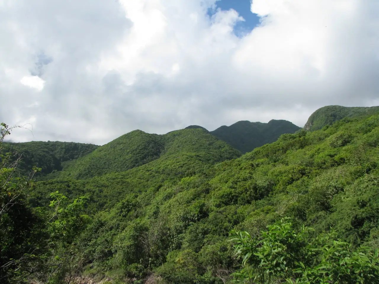 668 Acres of Pristine Land for Sale, Montserrat 7th Heaven Properties