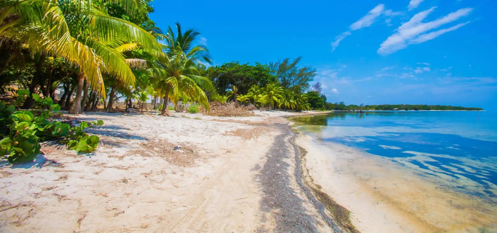 0.67 Acres of Beachfront Land for Sale, Palmetto Point, Roatan 7th