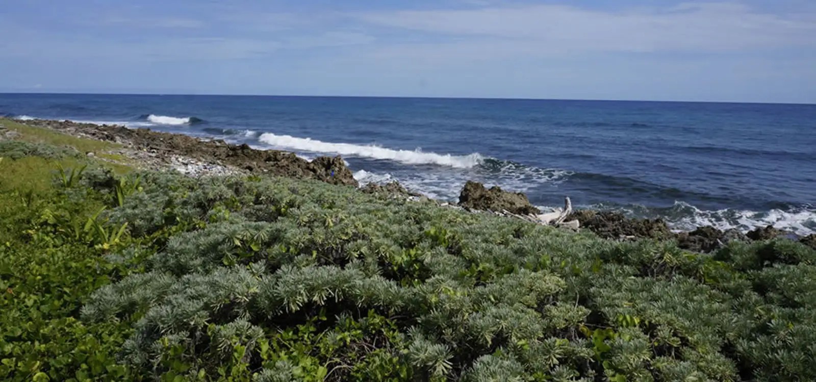 4 Acres of Waterfront Land for Sale, Pumpkin Hill, Utila, Honduras