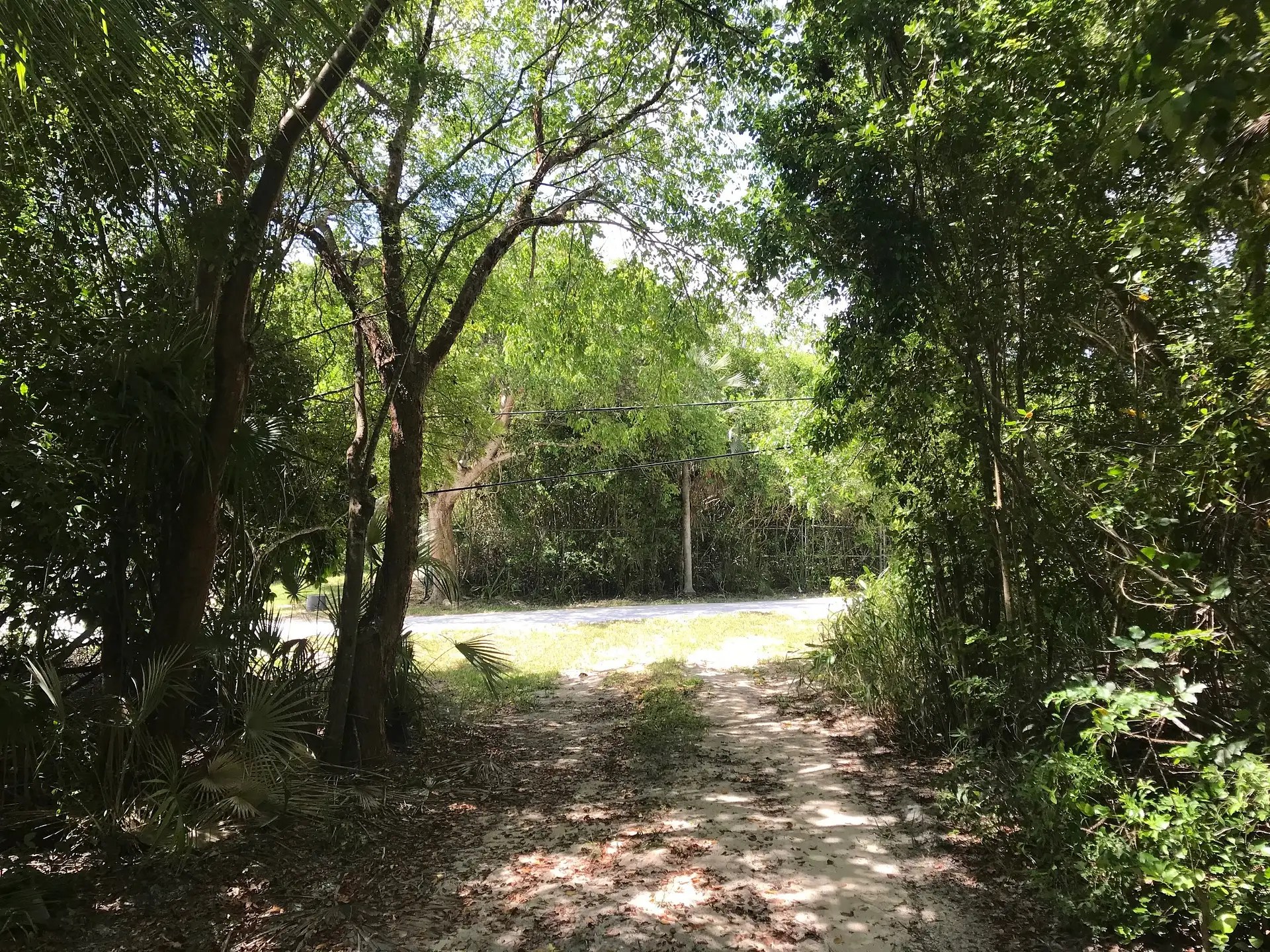 0.63 Acre Beachfront Lot for Sale, North Palmetto Point, Eleuthera