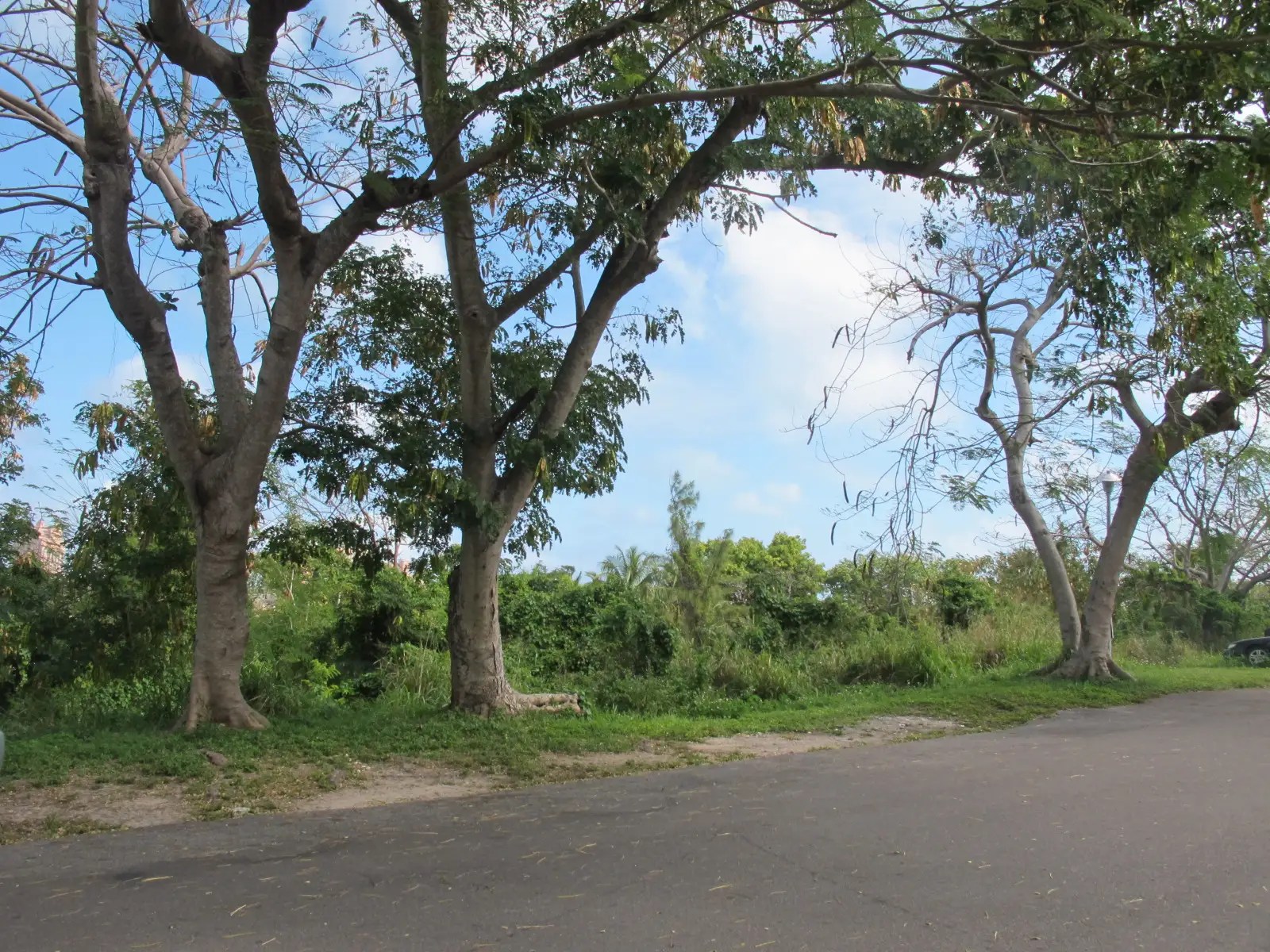0.76 Acres of Prime Commercial Land for Sale, Centreville, Nassau