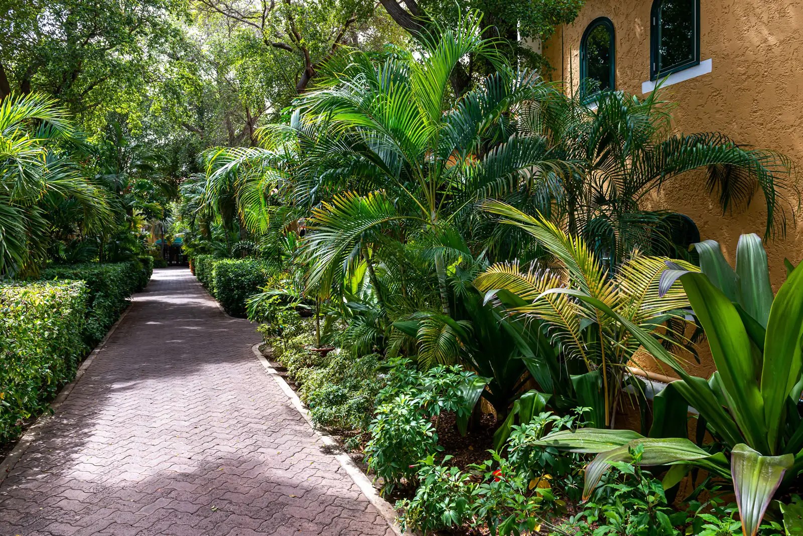 1 Bedroom Apartment for Sale, Harbour Village Beach Club, Bonaire 7th