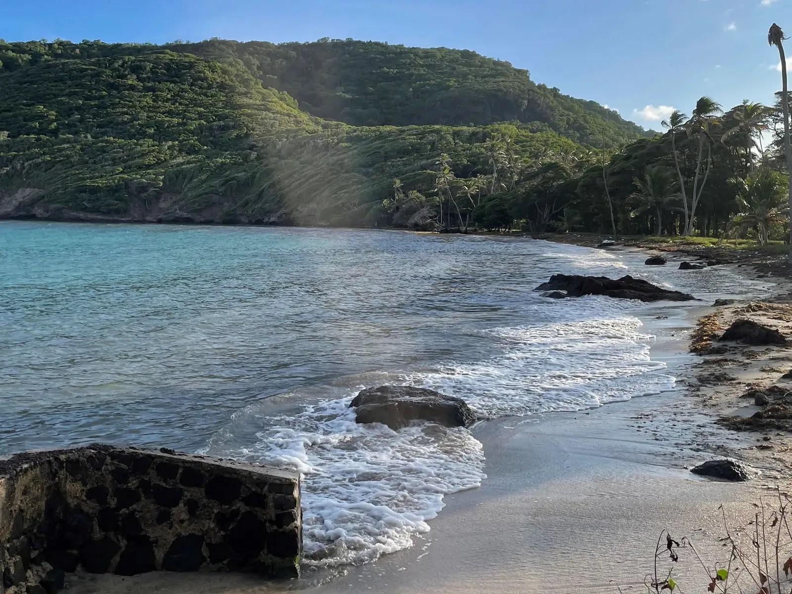 13 Acres of Beachfront Land for Sale, Spring Estate, Bequia 7th