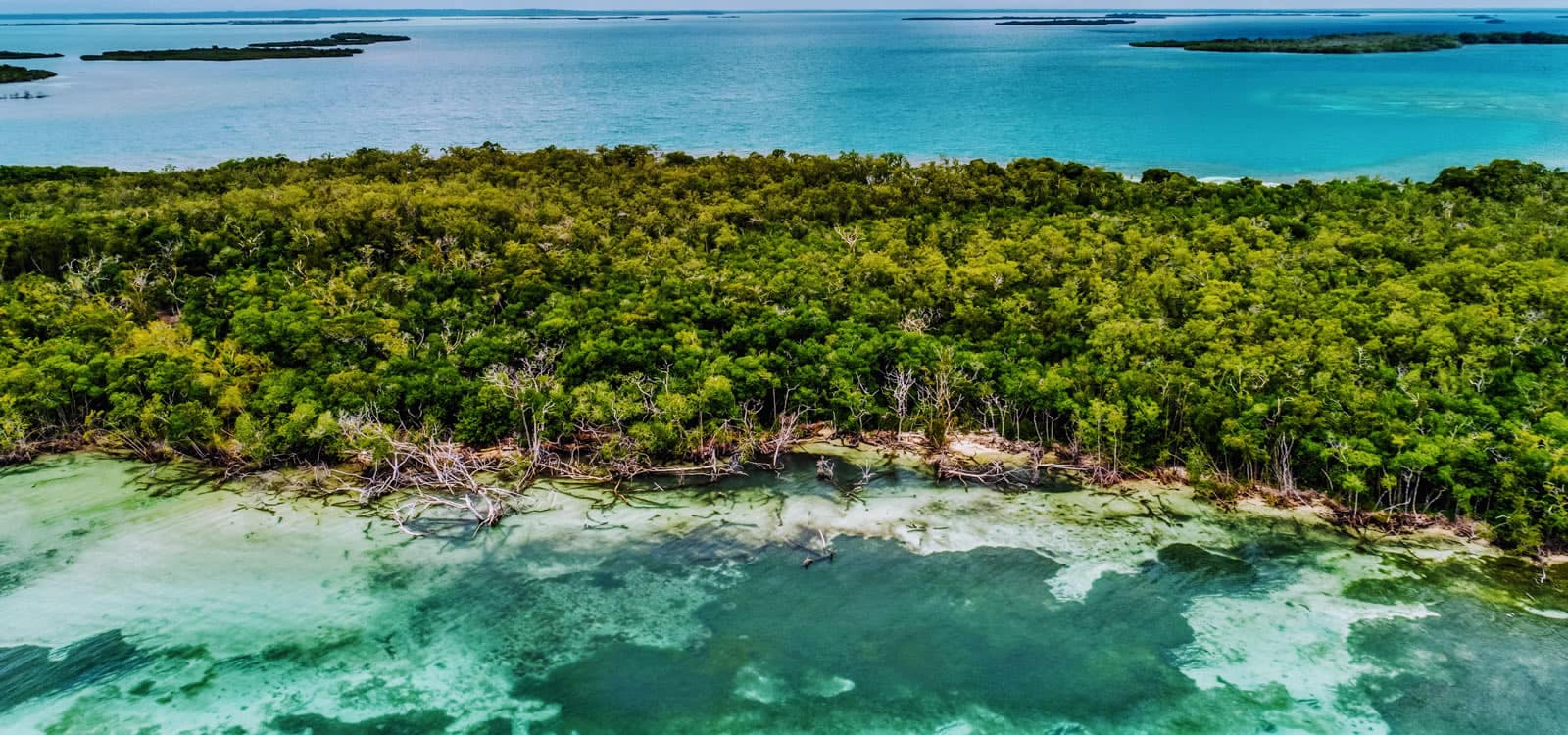 37 Acre Island for Sale, Punta Gorda, Belize 7th Heaven Properties