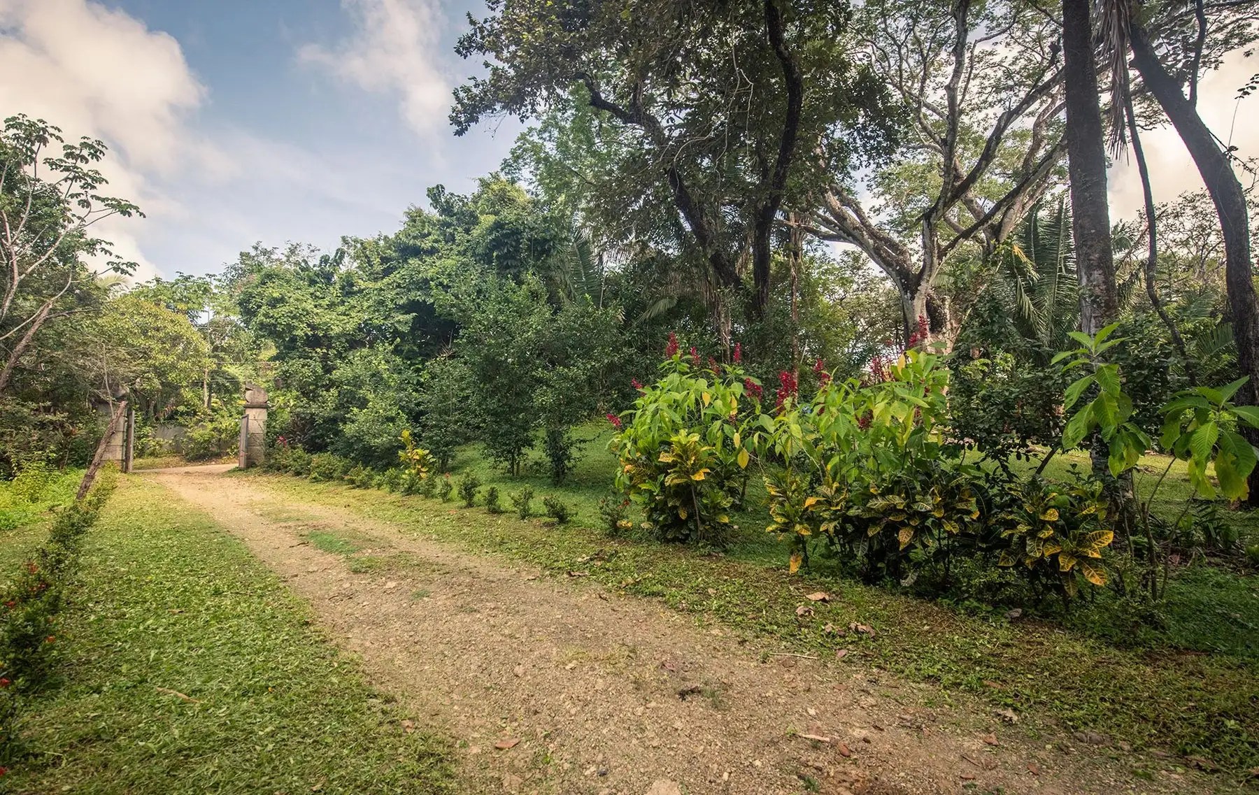 3 Bedroom Home for Sale, Las Huacas, Nosara, Guanacaste, Costa Rica