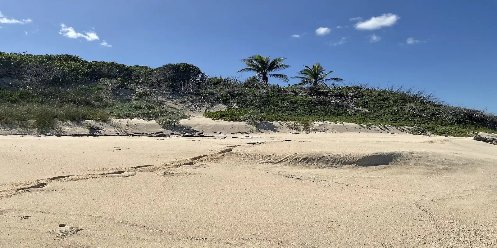 185 Acres of Beachfront Land for Sale, Clarence Town, Long Island