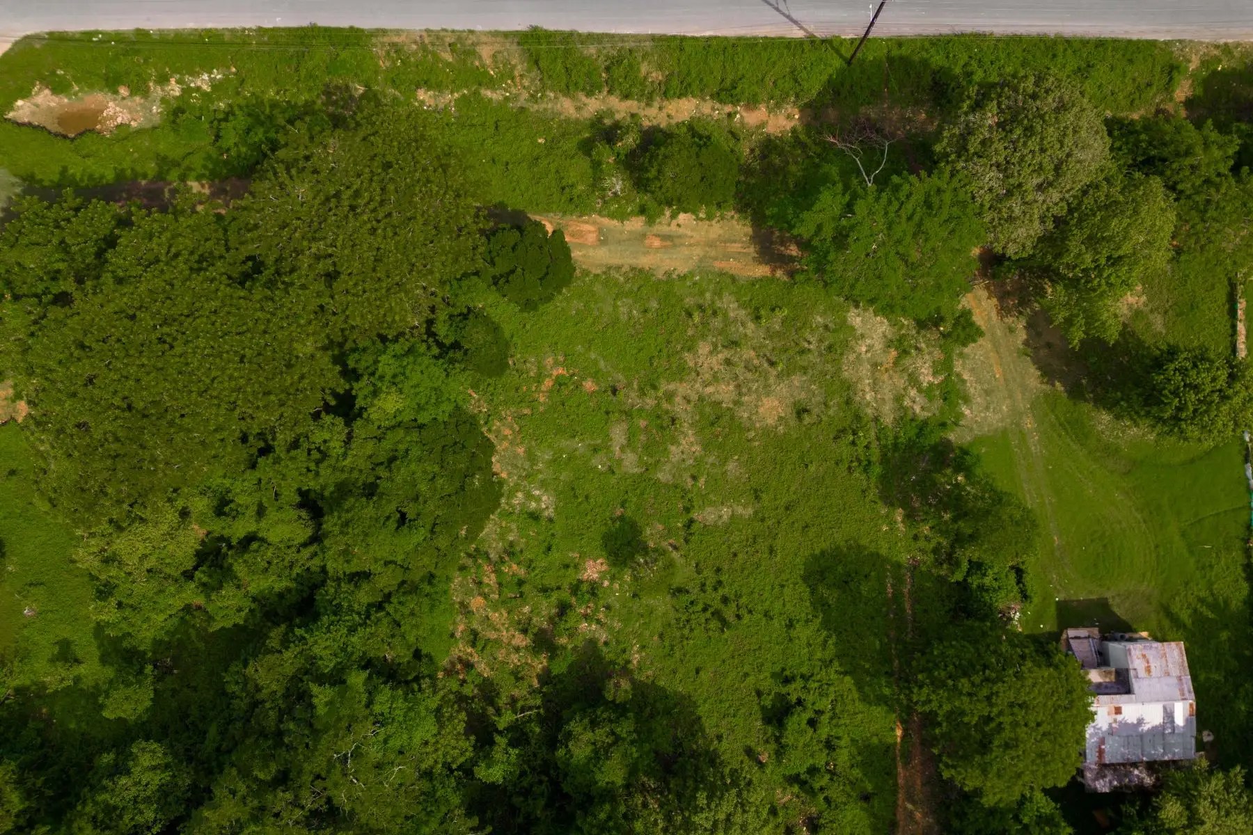 39 Acres of Land for Sale, Salt Marsh, Trelawny, Jamaica 7th Heaven