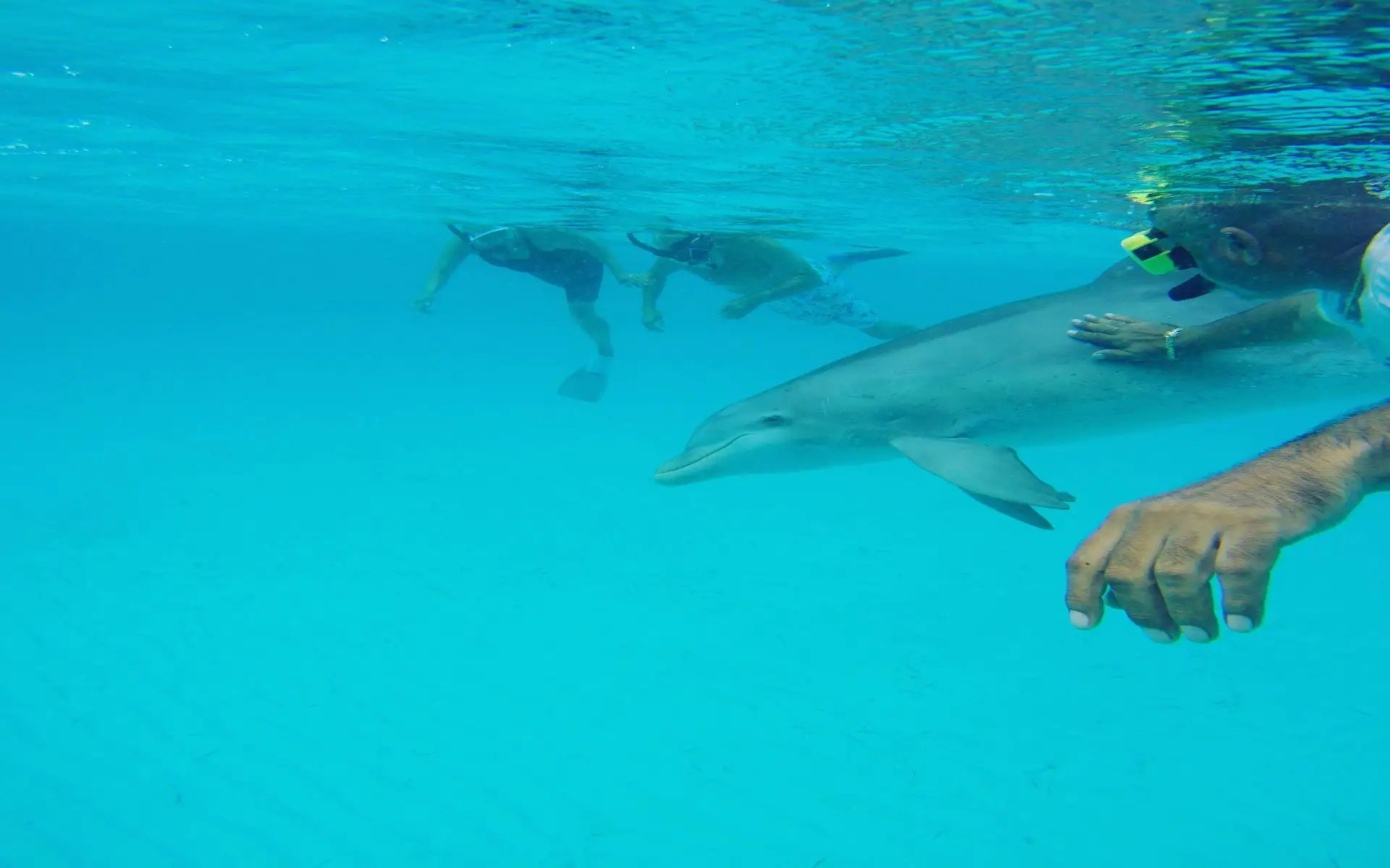 340 Acres of Beachfront Land for Sale, Flamingo Bay, Rum Cay, Bahamas