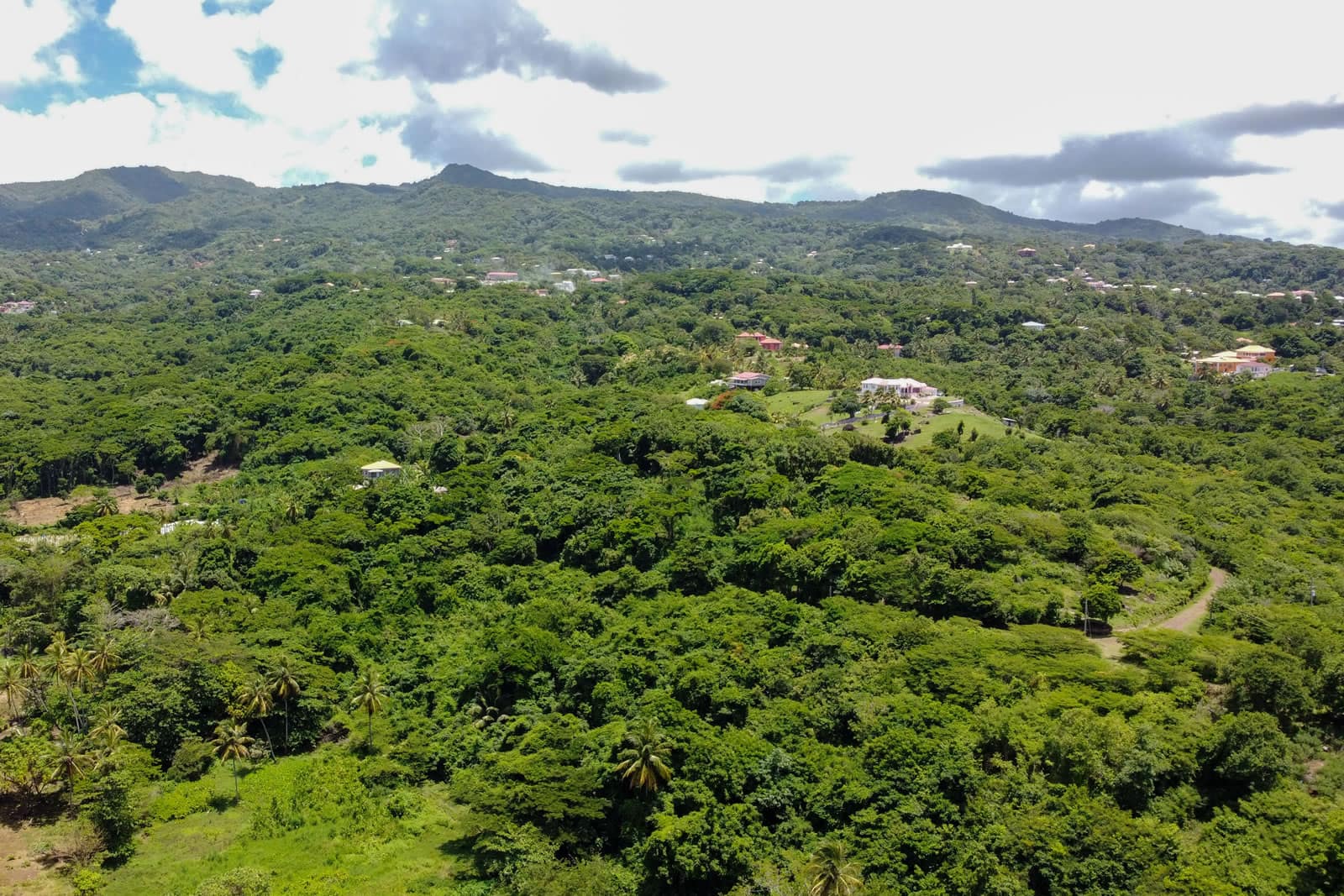 9.2 Acres of Beachfront Land for Sale, Crochu, St David's, Grenada