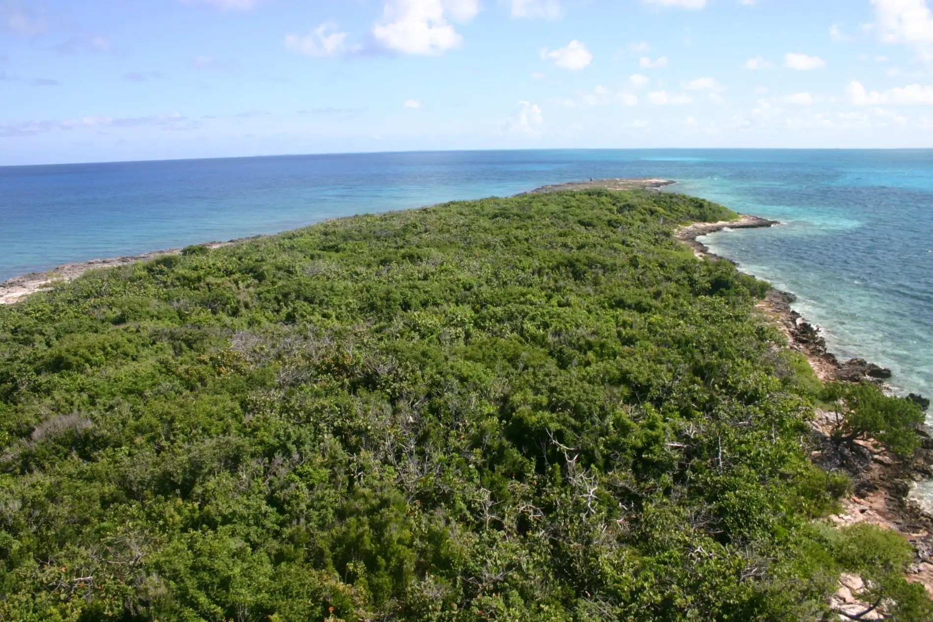 55 Acre Island for Sale, Pimlico Islands, Eleuthera, Bahamas 7th