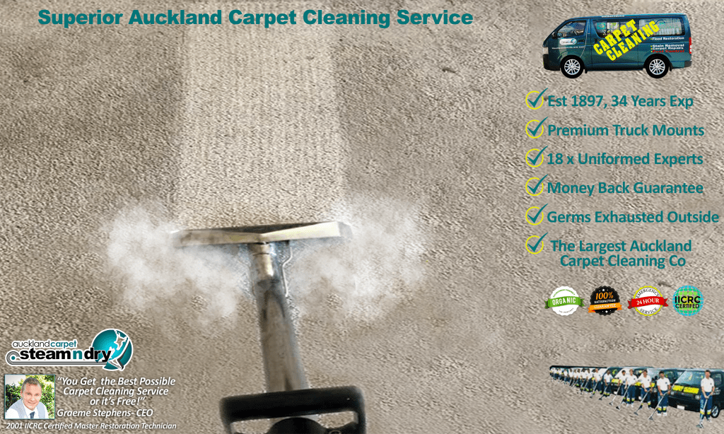 Carpet Buying Guide Auckland Carpet Cleaning Services