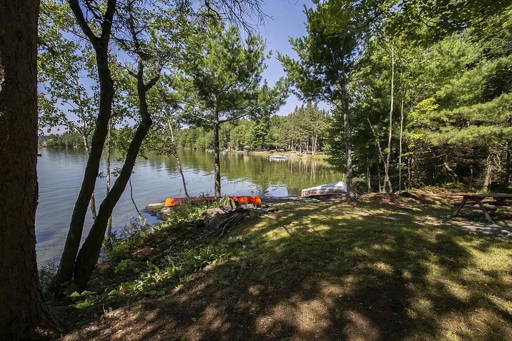Big Basswood Lake Cottage For Sale Dean Gibbons