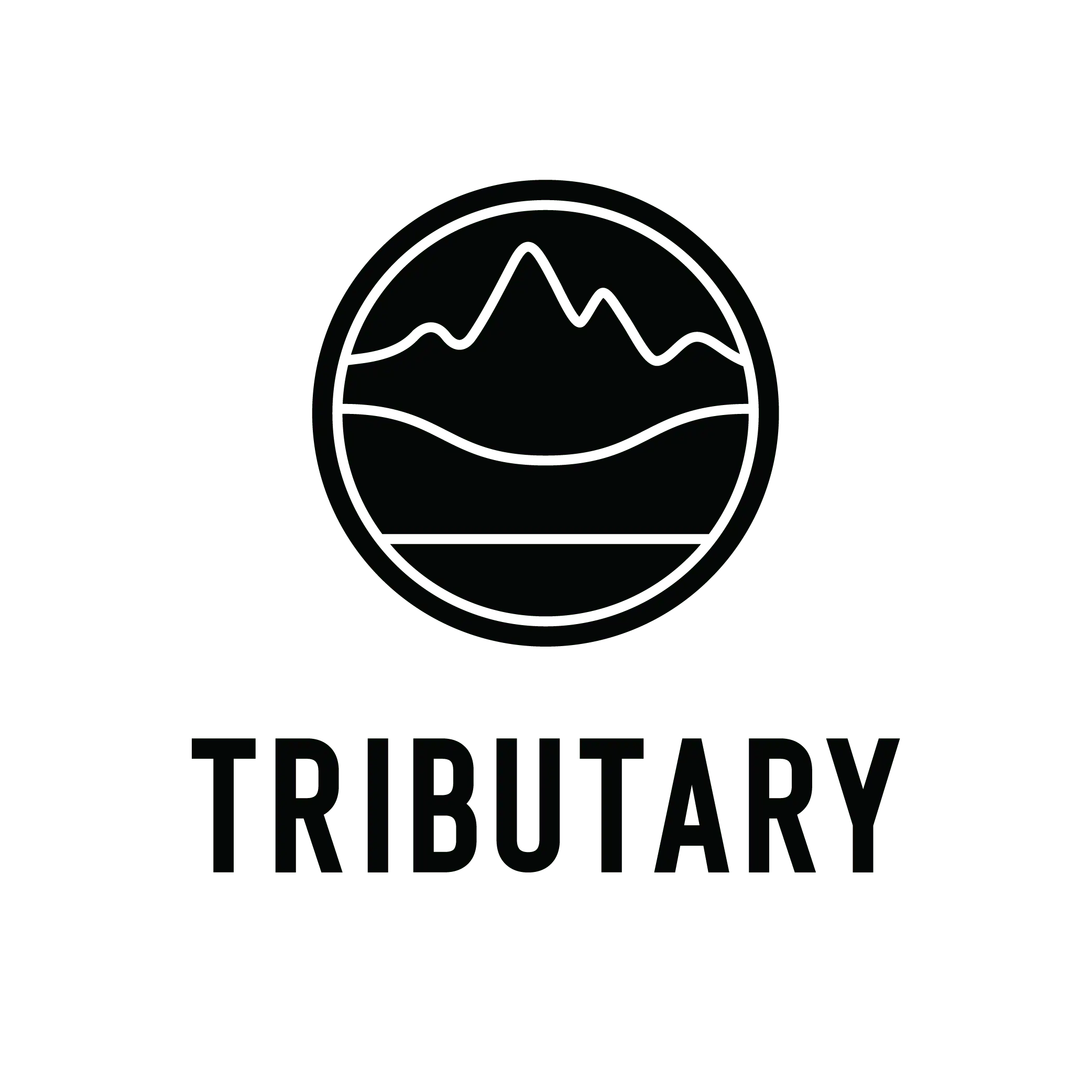 Gifting Options Community Foundation of Teton Valley