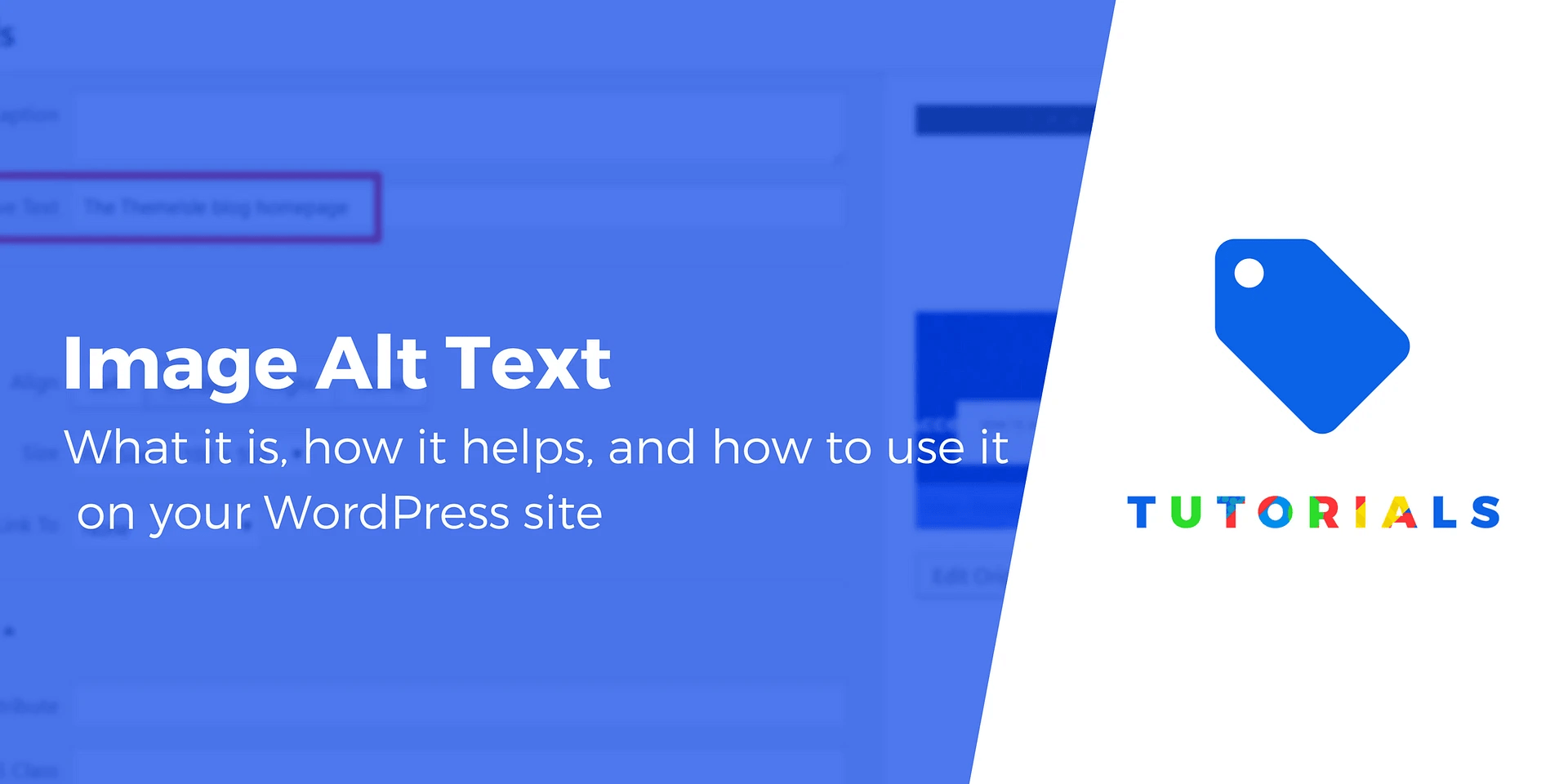 What Is Image Alt Text and How to Add It to Images in WordPress
