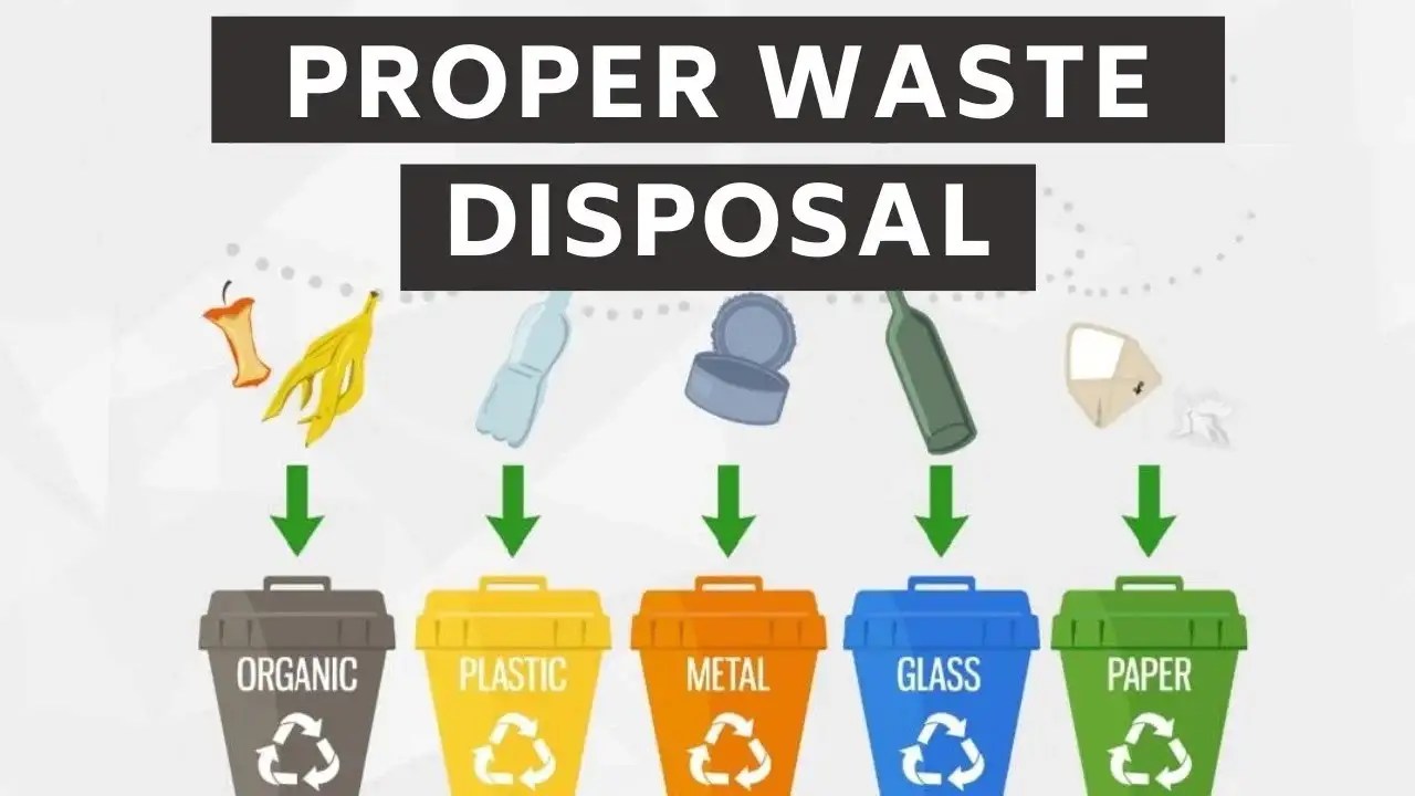 Public Health Benefits of Proper Waste Management in Alhambra