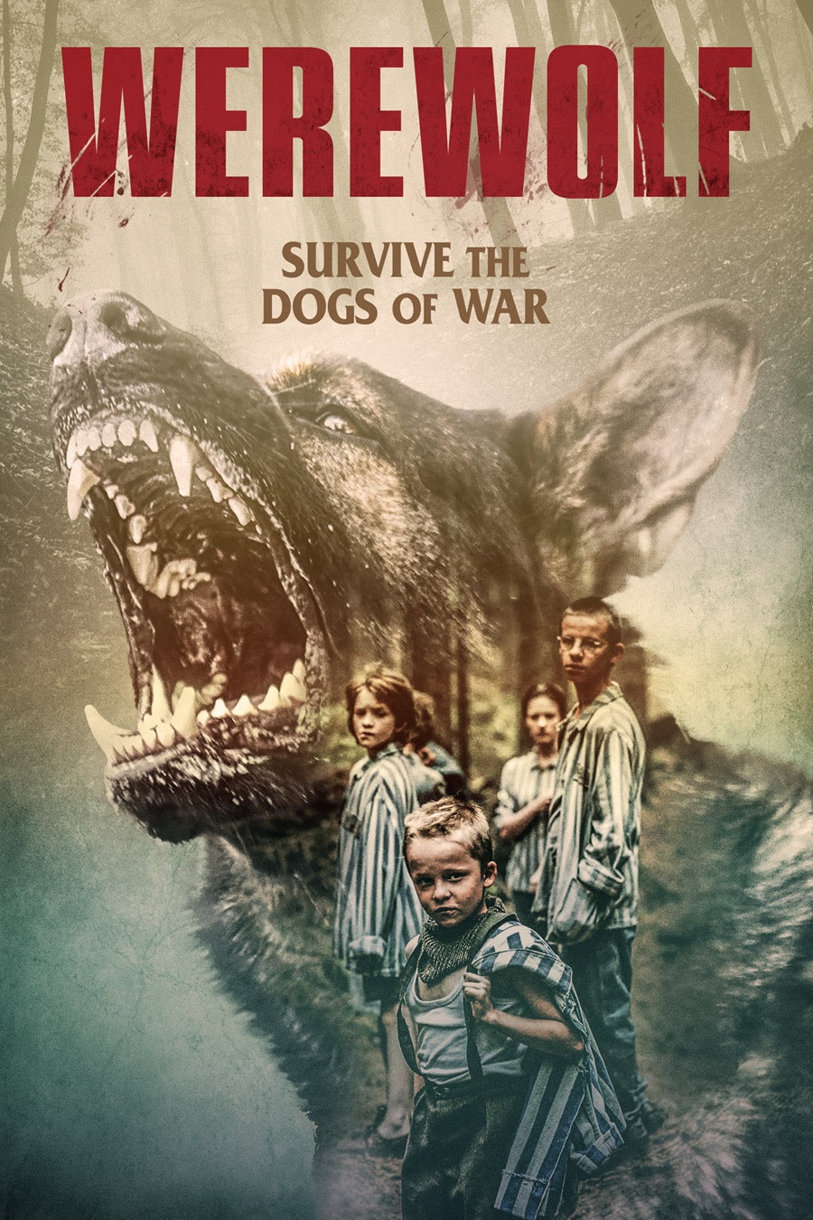 WEREWOLF (WILKOLAK, 2020) Review! MLMILLERWRITES / MLMillerFrights