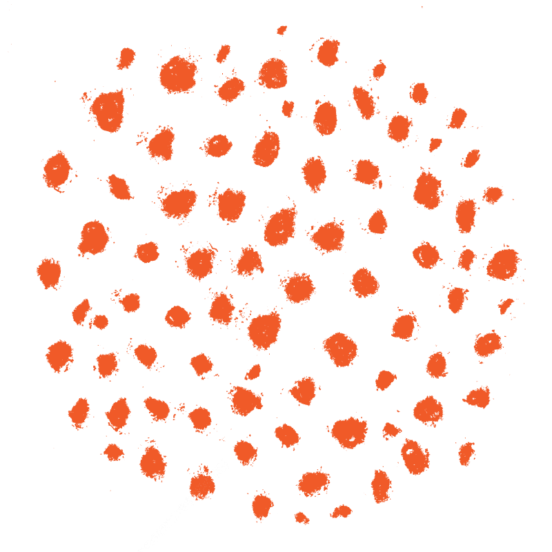 Orange Dots Muskoka Lakes Museum