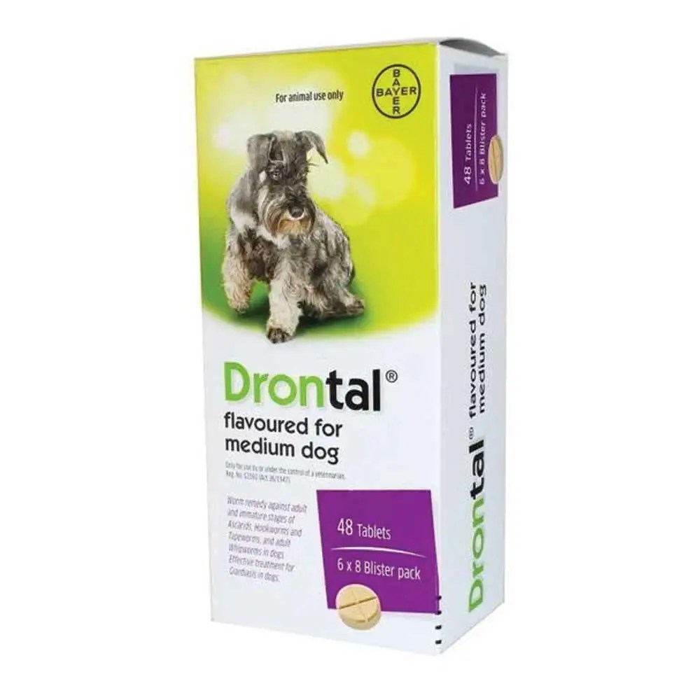 Bayer Drontal For Medium Dogs Pet Hero