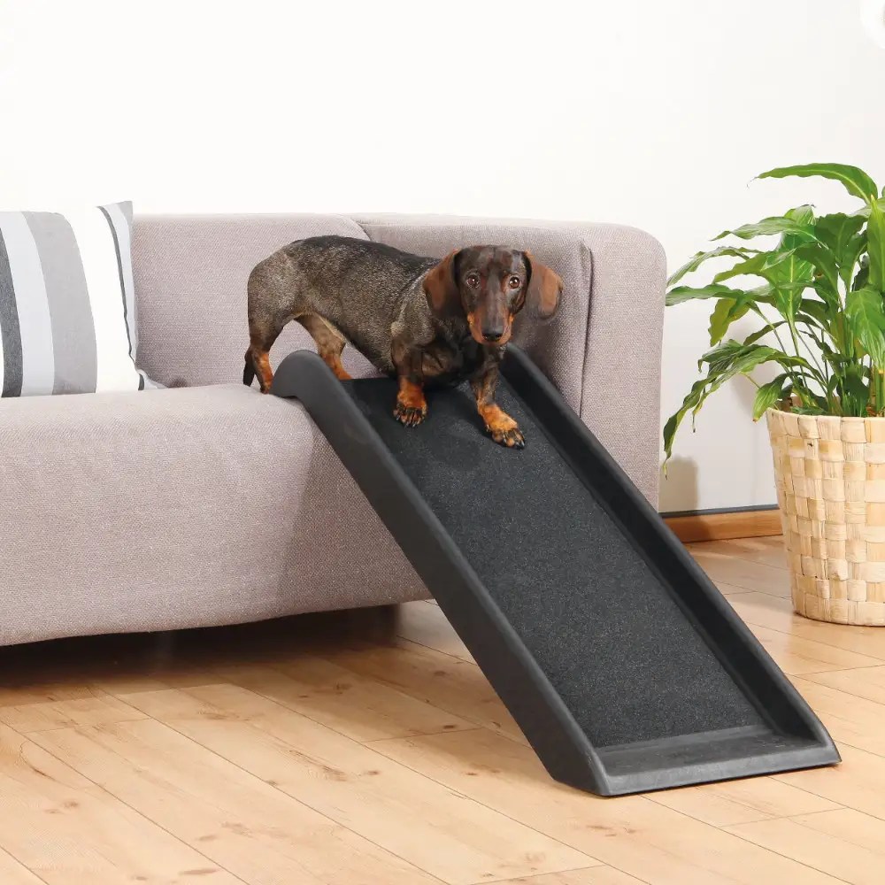 Single Pet Ramp