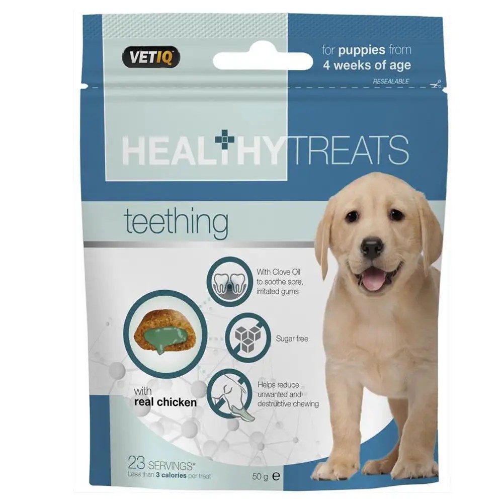 Homemade Teething Toys For Puppies Homemade Ftempo