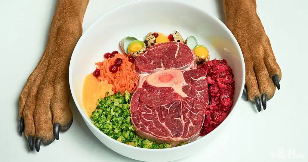 What Do Vets Say About Homemade Dog And Cat Food Recipes? Pet Hero