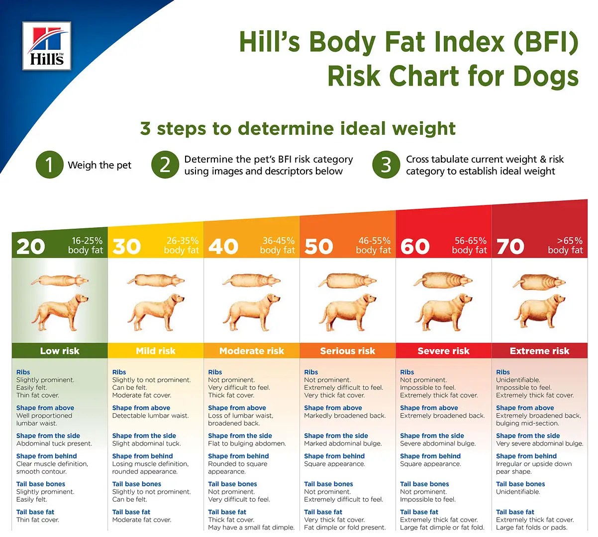 How To Help Your Pet Lose Weight And Gain Health For Good Pet Hero