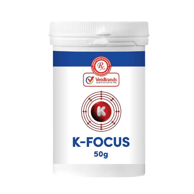 VetsBrands KFocus For Cats Pet Hero
