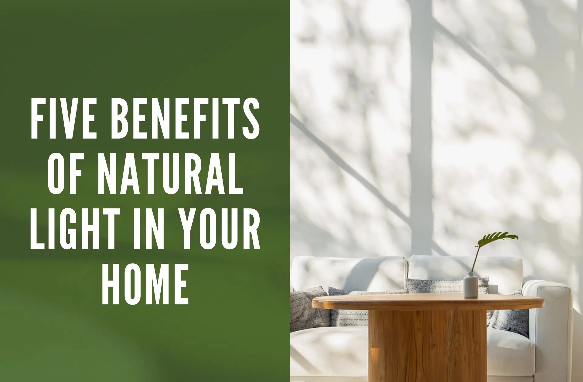 Five Benefits of Natural Light in Your Home Remodeling Trends