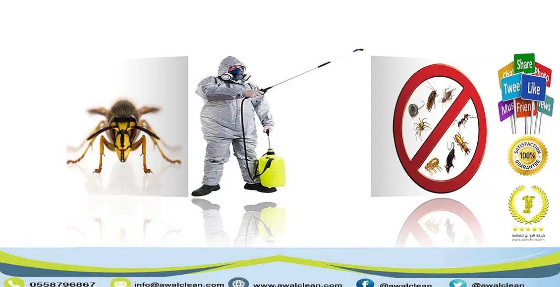 شركة مكافحة حشرات بالرياض 0558796867 شركة الاوائل اتصل الآن