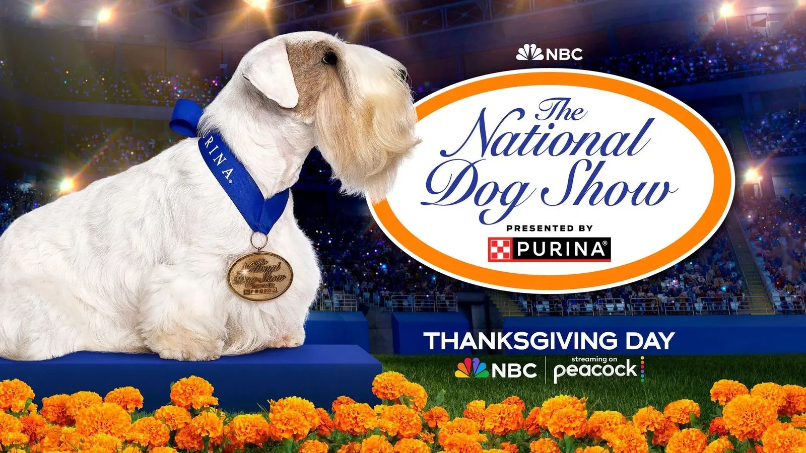 The National Dog Show Our Viewing Guide to The Thanksgiving Tradition