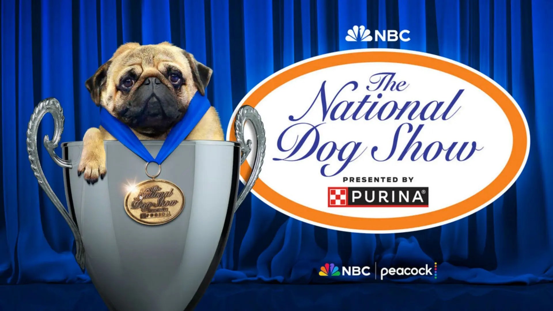 2025 National Dog Show Viewing Guide Everything You Need to Know!