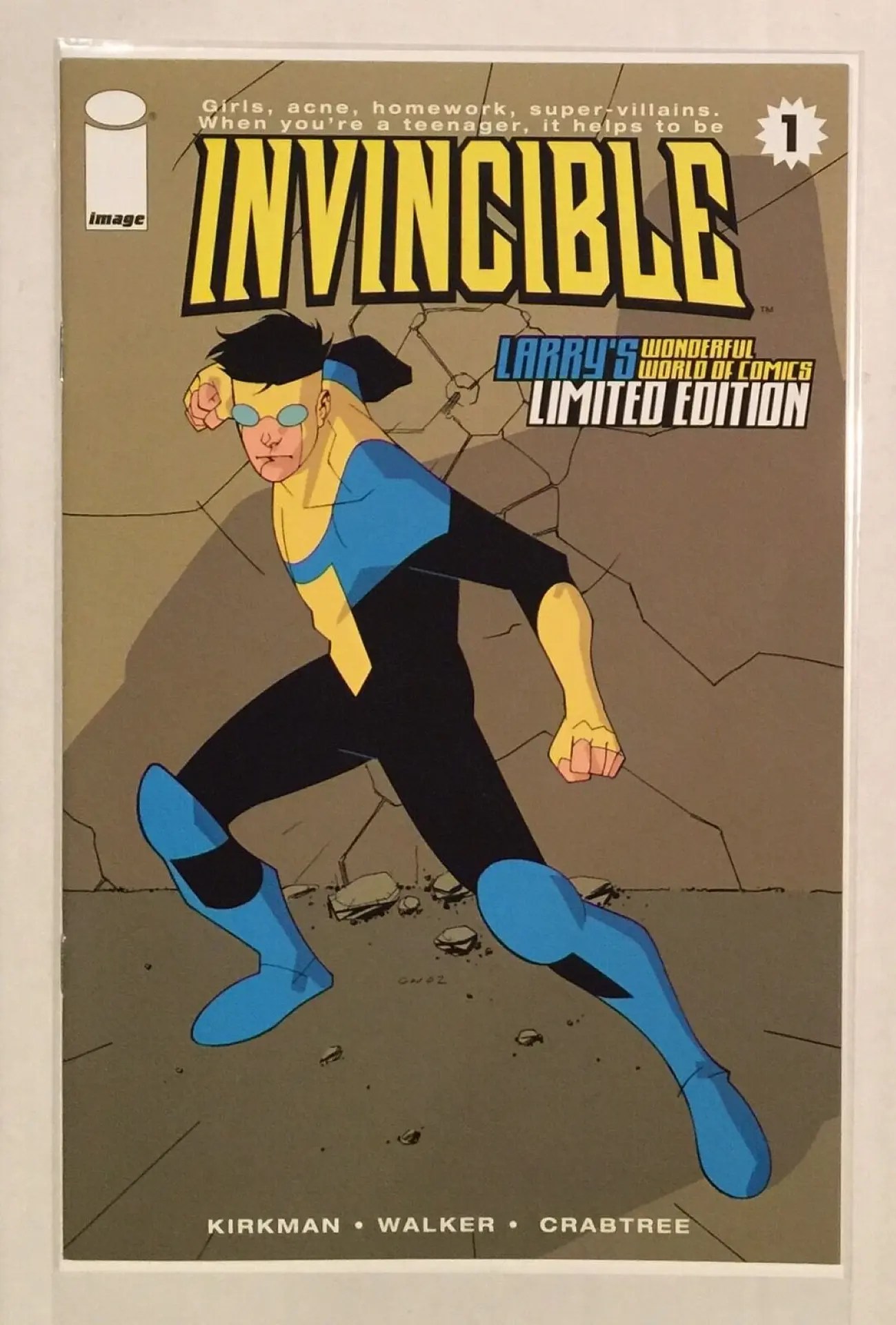 Invincible Amazon Prime TV Show Will Cover Invincible 1 to 13