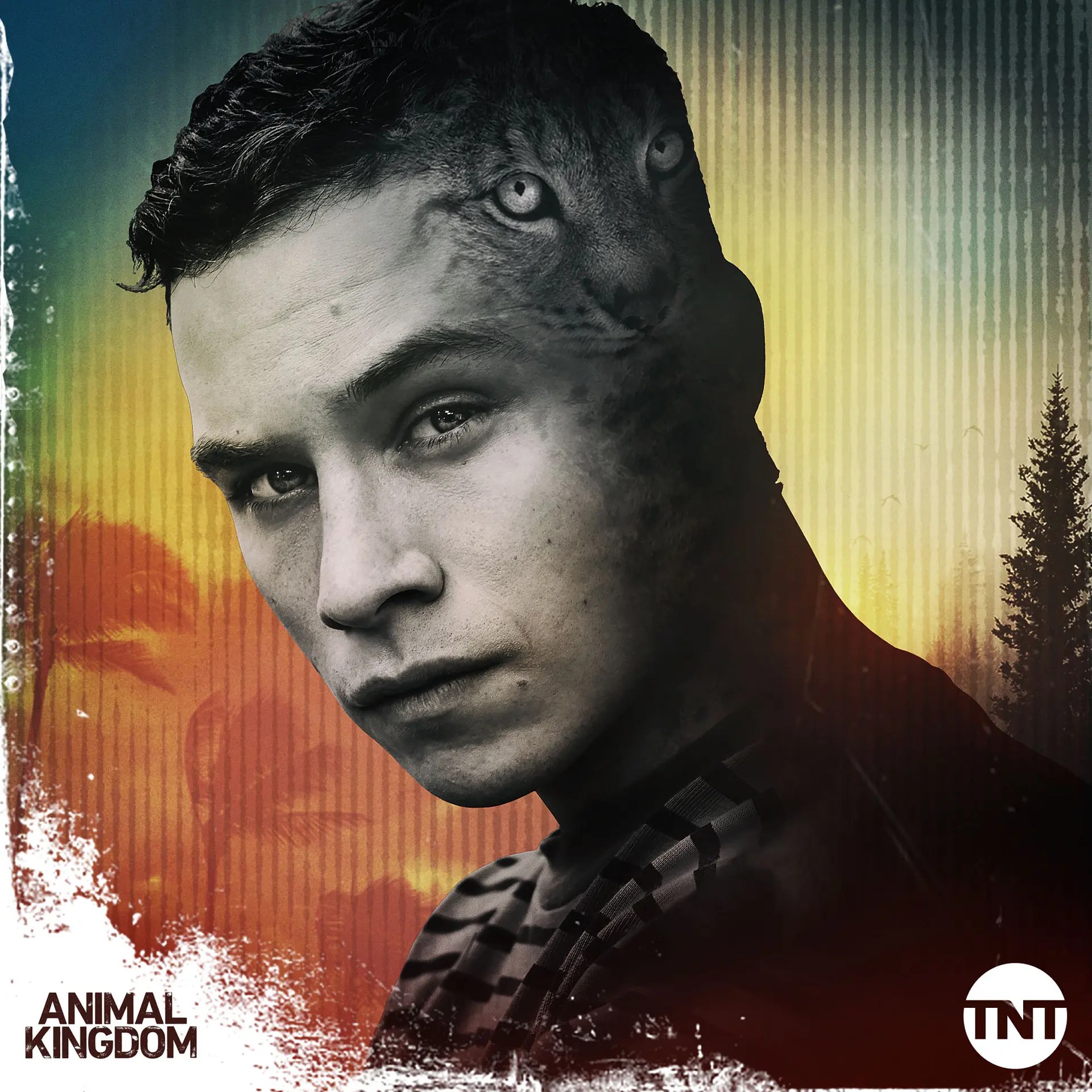 Animal Kingdom Season 5 Can J's Steath & Cunning Make Him Alpha?