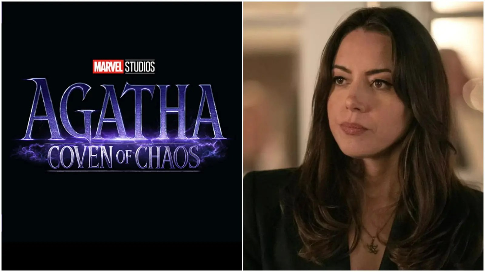 Agatha Coven of Chaos Aubrey Plaza Reveals Reason for Joining MCU