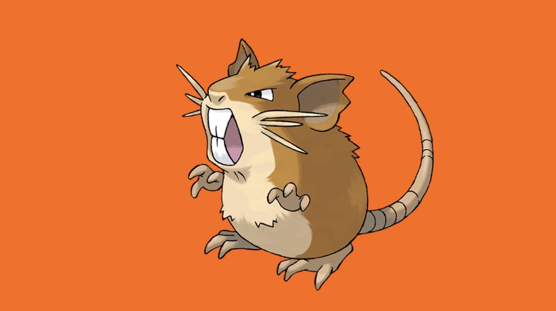 Poké Spotlight Getting To Know Raticate Outside Of Pokémon GO