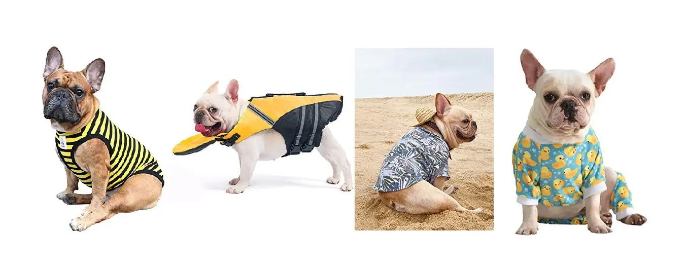 French Bulldog Clothes Top 15 French Bulldog Clothes You Can Buy