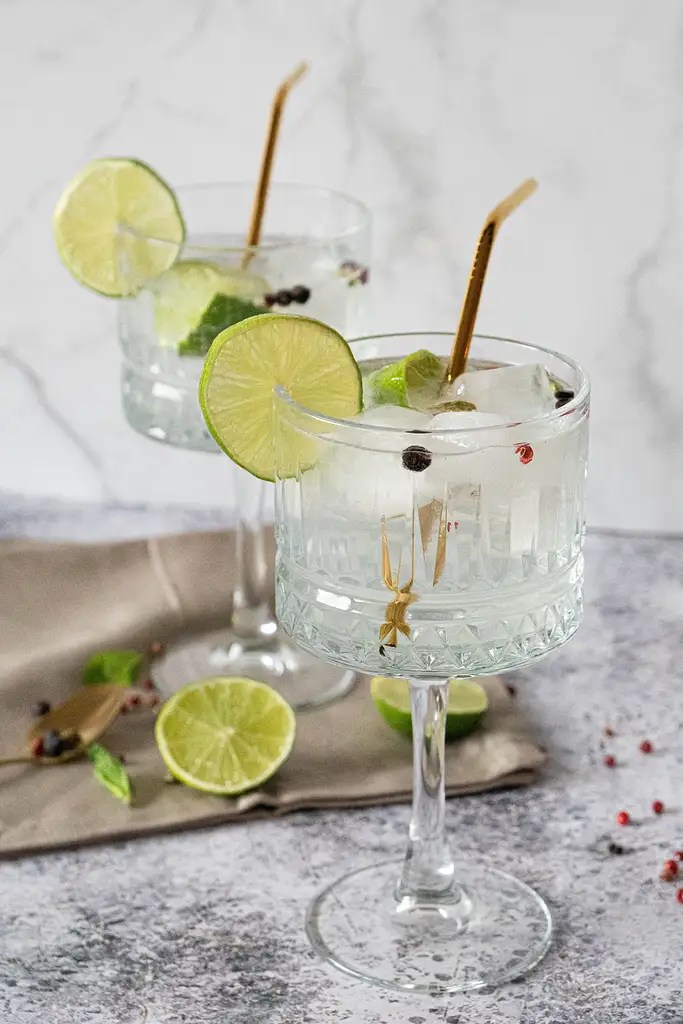 GIN TONIC Healthy Yummy Katy