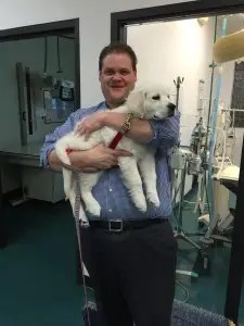 Healthy Pets Of Wedgewood - Healthy Pets Of Hayden Run