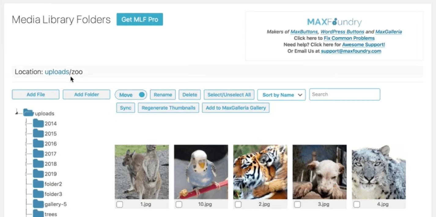 The 8 Best Media Manager Plugins to Enhance the WordPress Media Library Moonthemes Free