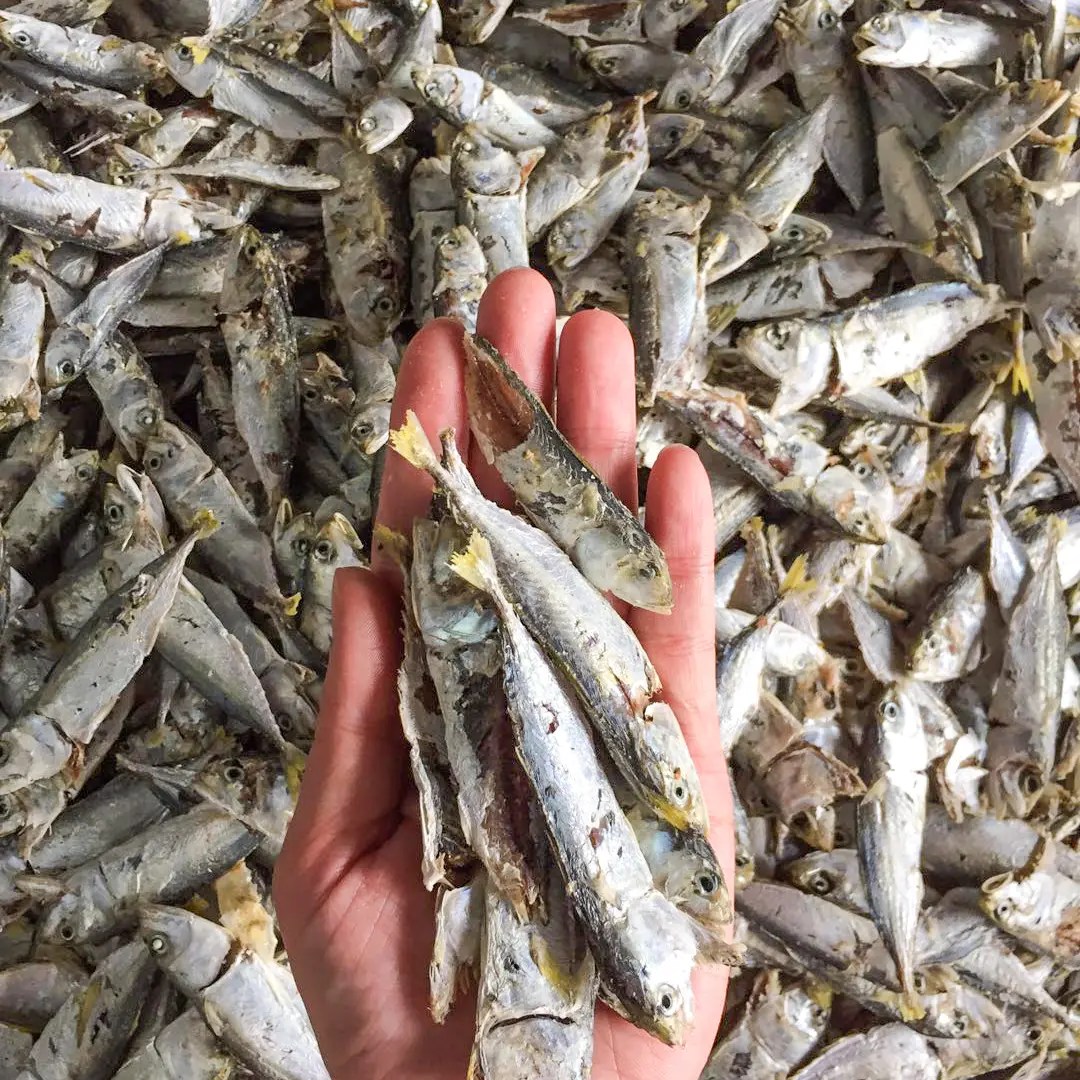 Ikan Kembung Kering