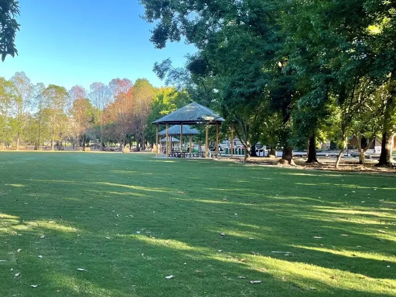 Greenlees Park Couch Grass Sydney Sports Field Turf