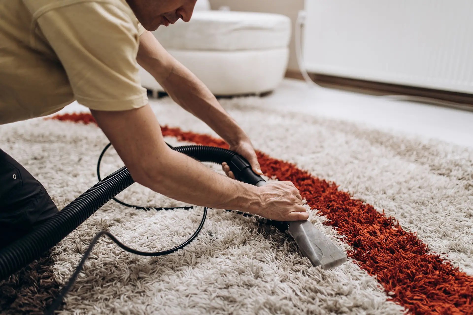 Carpet Cleaning Services Wellington Region Top Star