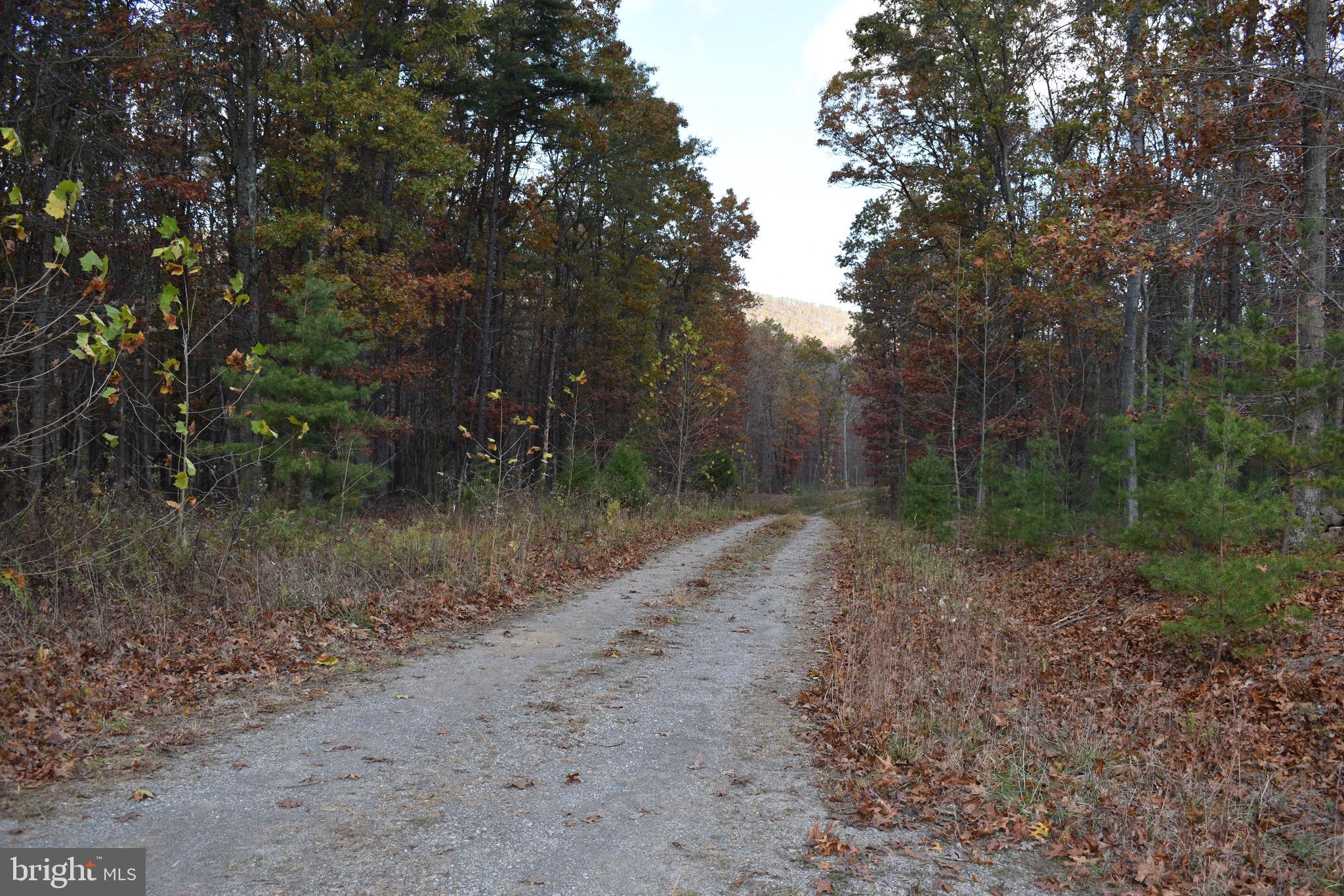 Photo of Lot 2 Park St in Bloomery, WV