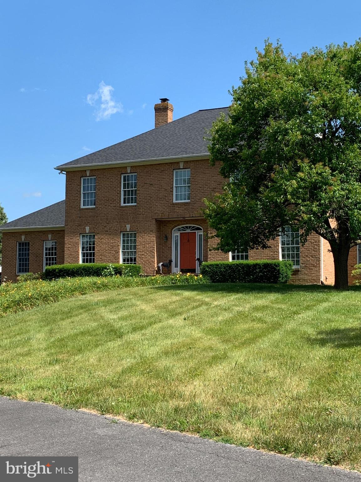 Mitchell Salland Realtor Serving the Columbia region