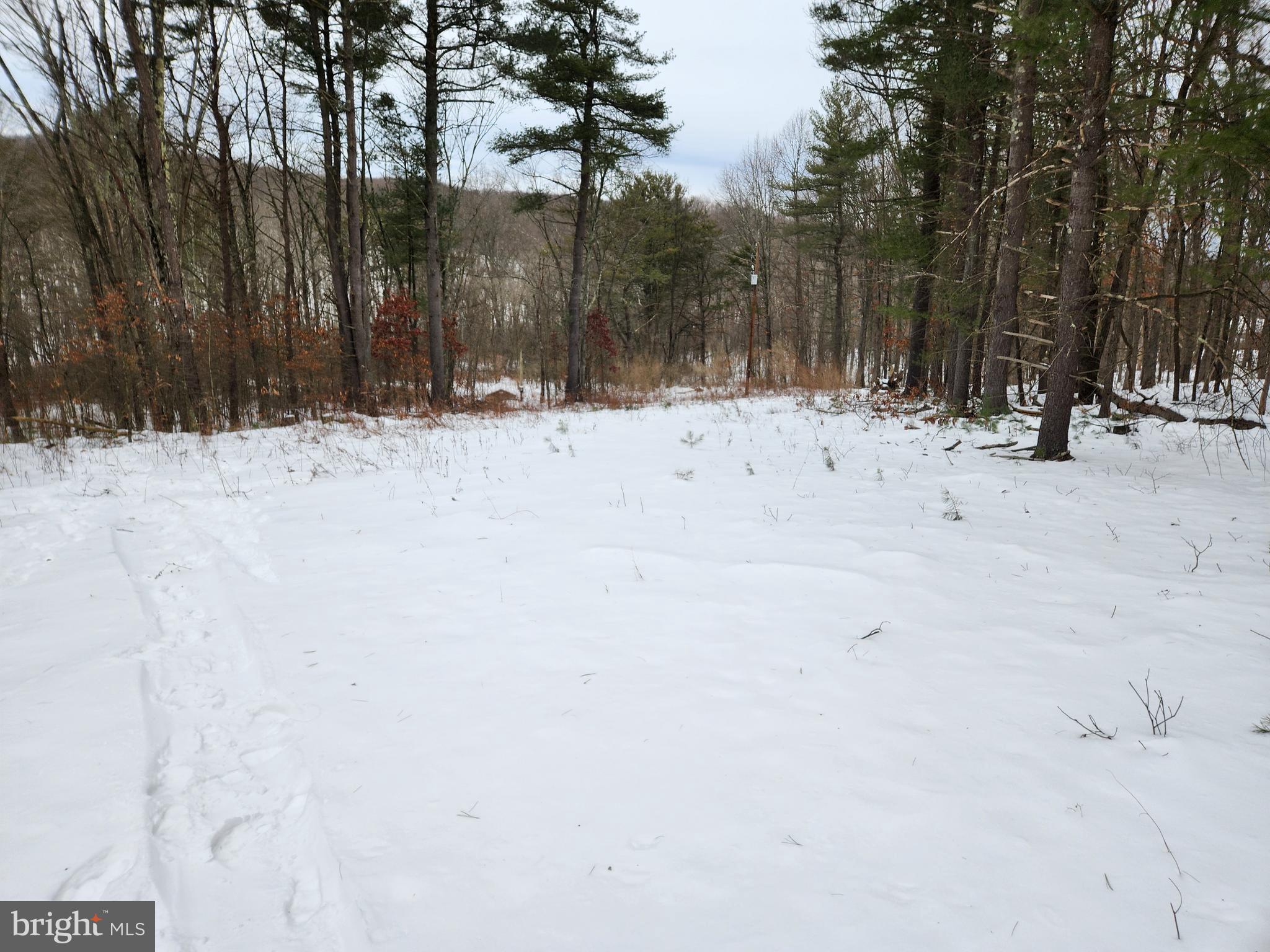 Mitchell Salland Realtor Serving the Columbia region