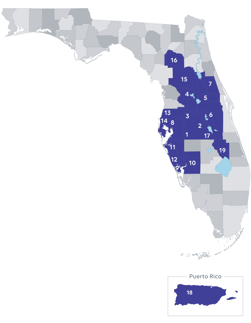 Stellar MLS MLS RESO  API Import Solutions for WordPress