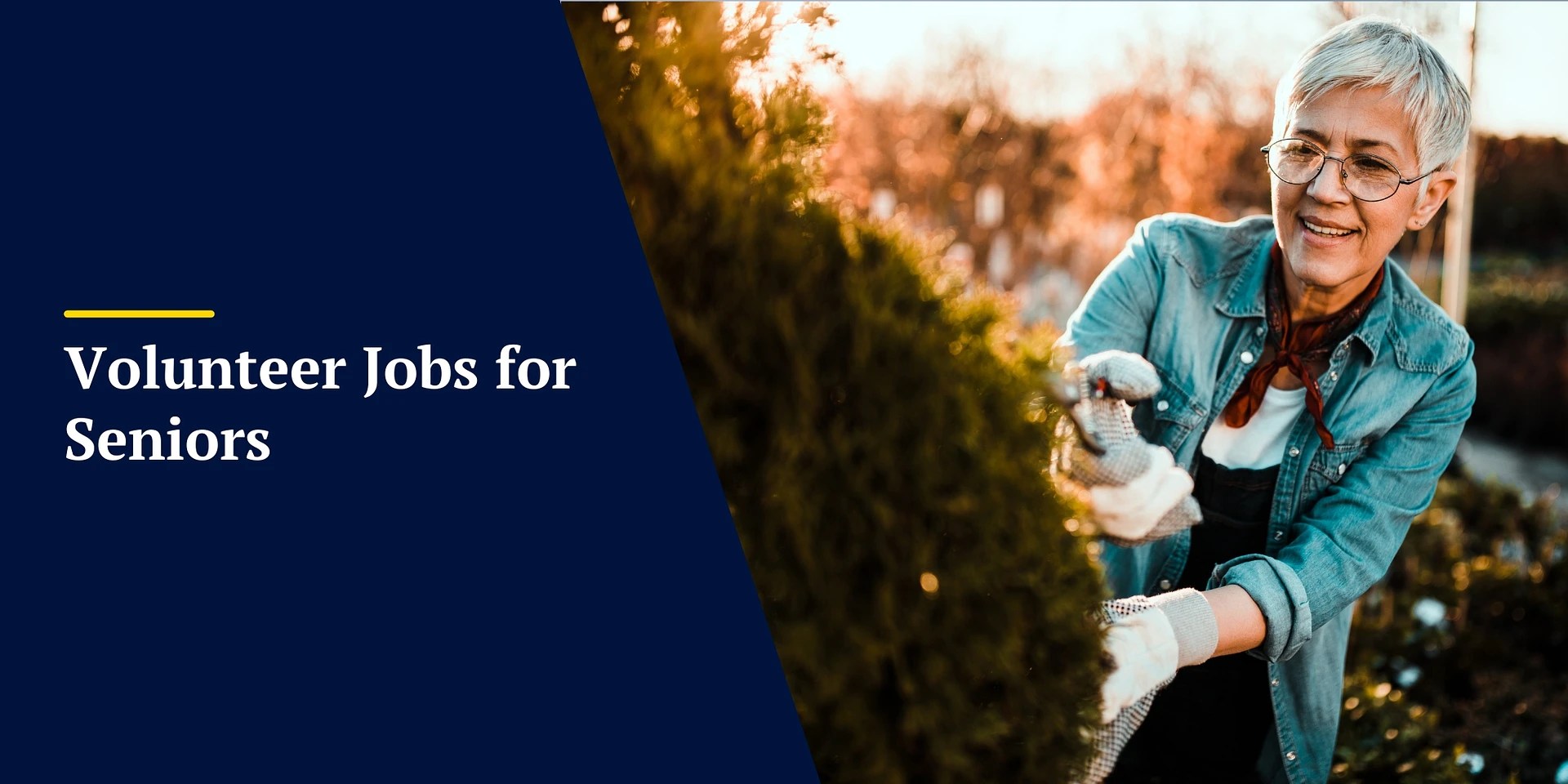 35 Best Jobs for Seniors Consider Them if You're Over 60